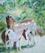 chevaux à Fontcouverte
aquarelle sur arches 300g
61x46 cm